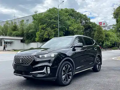 WEY VV6 2019