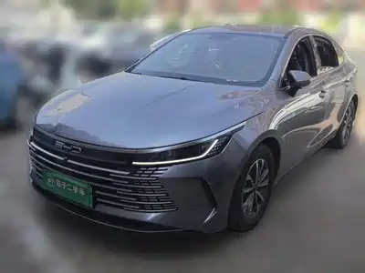 BYD Destroyer 05 2024