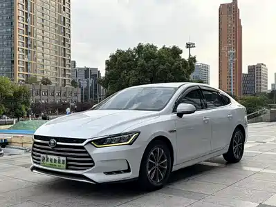 BYD Qin Pro New Energy 2020