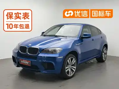 BMW X6 M 2010