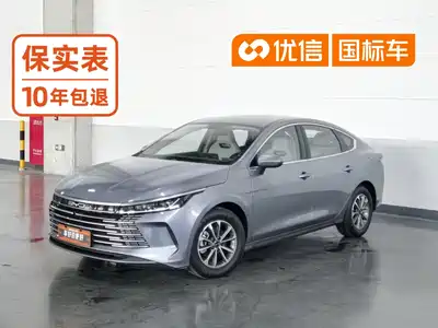 BYD Destroyer 05 2024