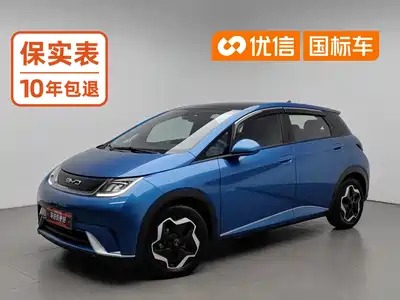 BYD Dolphin 2022