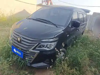 Dongfeng Fengxing Lingzhi 2024