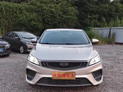 Geely Binrui 2019