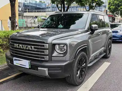 Haval Meng Long NEV 2024