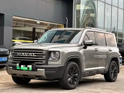 Haval Meng Long NEV 2023