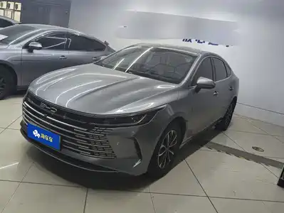 BYD Destroyer 05 2024