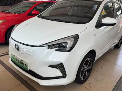 Changan Benben E-Star 2020