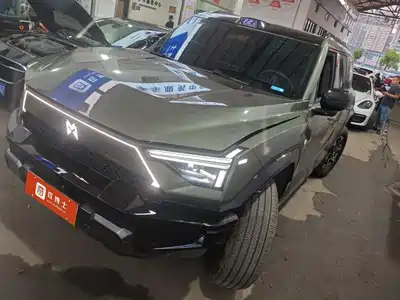 Mengshi M817 2025