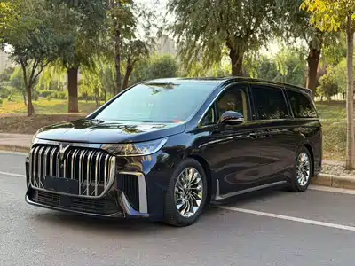 Voyah Auto Dreamer 2024
