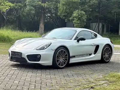 Porsche Cayman 2014