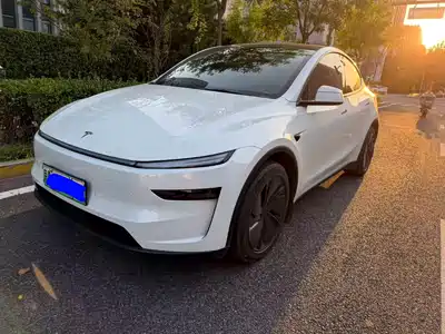 Tesla Model Y 2025