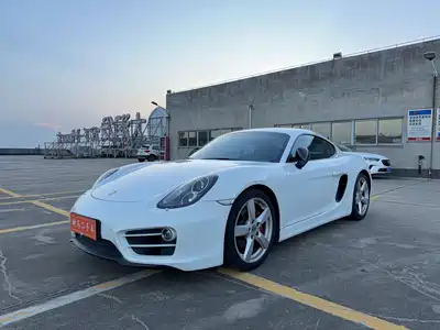 Porsche Cayman 2014