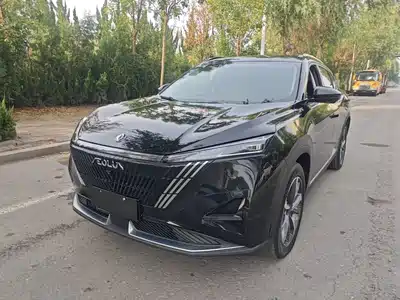Dongfeng Aeolus Haohan 2024