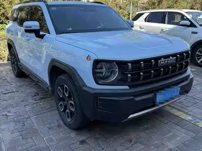 Haval Cool Dog 2023
