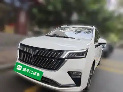 Wuling Motors Jiachen 2023