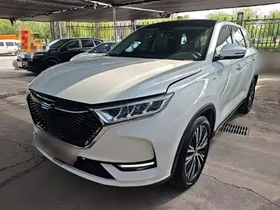 Changan Oshan X7 2021
