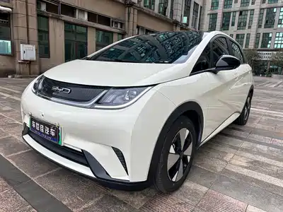 BYD Dolphin 2024