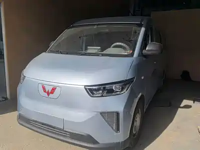 Wuling Motors Yangguang 2024