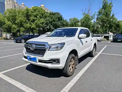 Dongfeng Rich 6 2019
