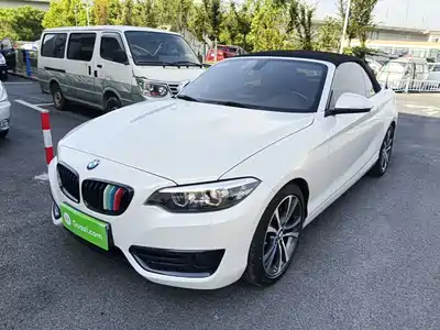 BMW 2 Series (Import) 2019