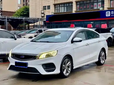Geely Binrui 2019