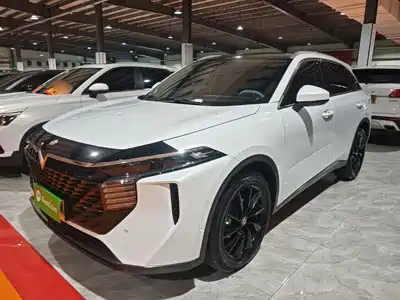 Venucia Big V 2022