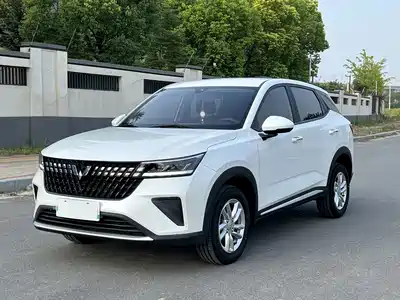 Wuling Motors Xingchi 2024