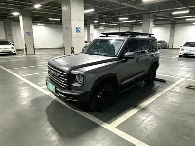 Haval Meng Long NEV 2025