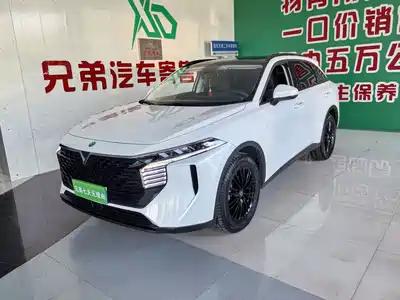 Venucia Big V 2023