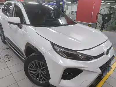 Toyota Wildlander 2024