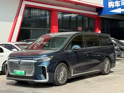 Voyah Auto Dreamer 2024