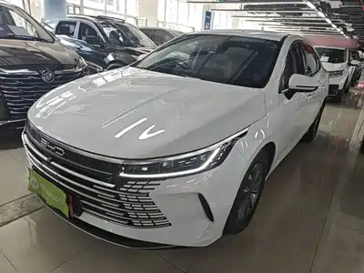 BYD Destroyer 05 2024