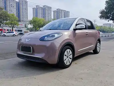 Wuling Motors Bingo 2023