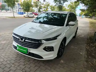 Wuling Motors Victory 2022