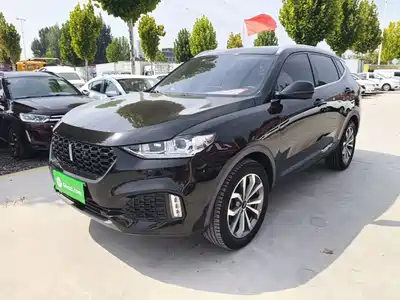 WEY VV6 2019