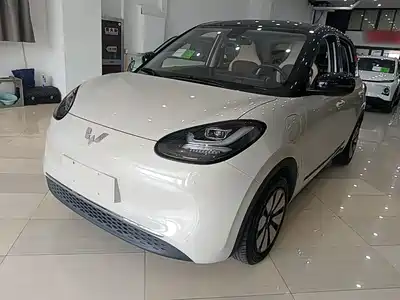 Wuling Motors Bingo 2024