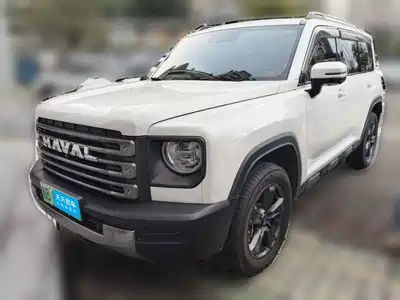 Haval Meng Long NEV 2024