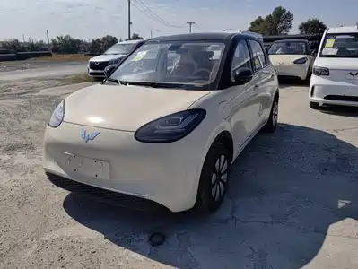 Wuling Motors Bingo 2026