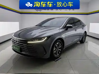 BYD Destroyer 05 2024