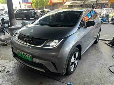 BYD Dolphin 2024