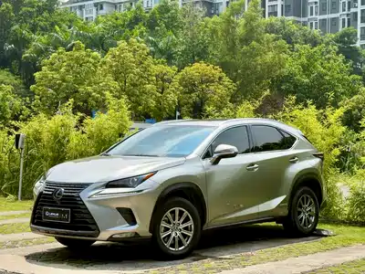 Lexus NX 2021