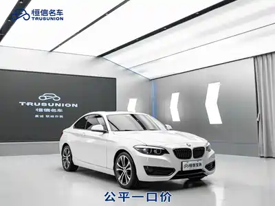 BMW 2 Series (Import) 2021