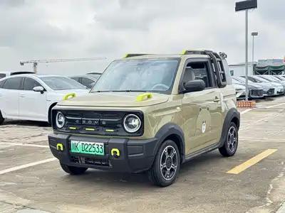 Geely Galaxy Panda 2024