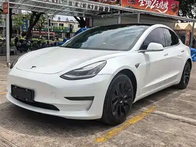 Tesla Model 3 (Import) 2020