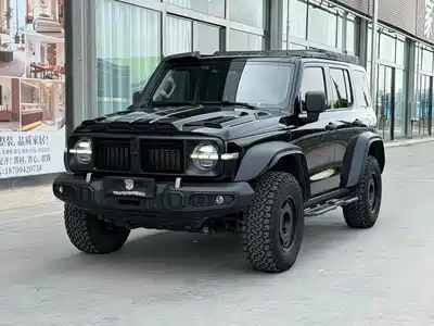 Tank 300 2025