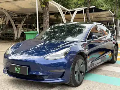 Tesla Model 3 (Import) 2019