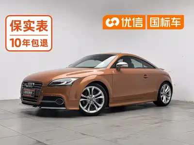 Audi TTS 2013