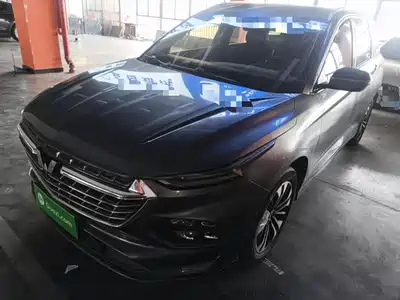 Wuling Motors Victory 2020