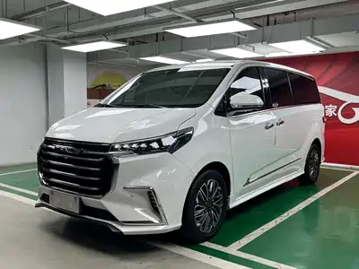 SAIC Maxus G20 2019
